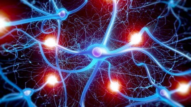 Individual brains can be connected, research team shows