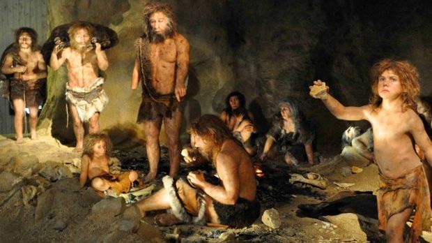 Neanderthals were quite sophisticated, study reveals