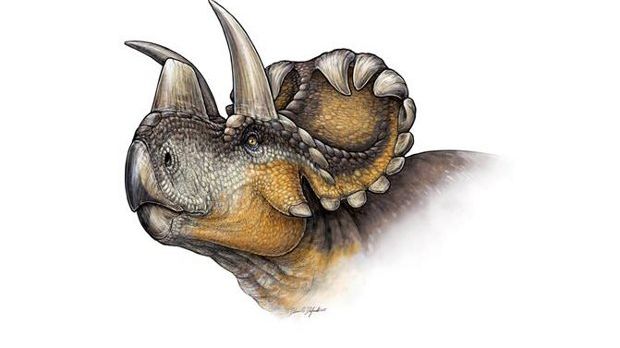 Artist's depiction of Wendiceratops pinhornensis