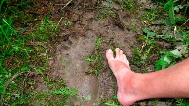Alleged Yeti footprint found in remote Russia