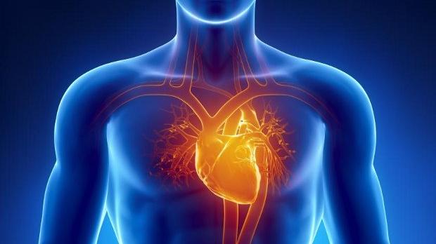 Researchers find the hearts of men and women age differently