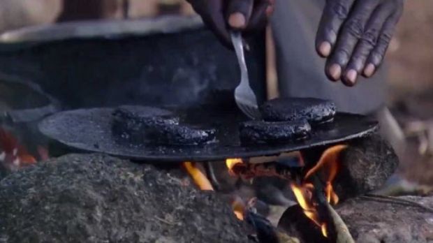 People in Africa make burgers from flies