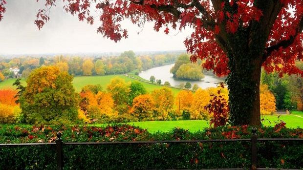 Richmond Park in autumn