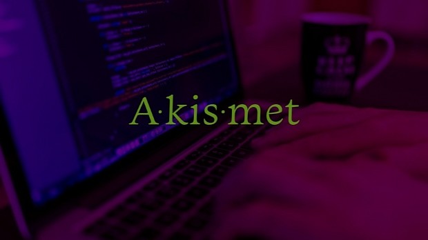 Akismet affected by critical XSS vulnerability