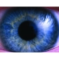 'Big Brother' Watching Over Apple Discussions Forums
