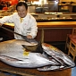 $1.76 Million (€1.34 Million) Tuna Sold at an Auction in Tokyo, Japan