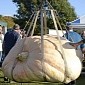 1,884-Pound (854-Kilogram) Pumpkin Crowned Britain's Heaviest Ever