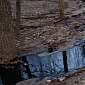 10,000 Gallons of Crude Oil Spill into Ohio Nature Preserve