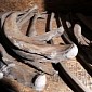 10,000-Year-Old Mastodon Skeleton Unearthed in Michigan, US