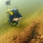 10,000-Year-Old Underwater Forest Discovered Off the Coast of Norfolk