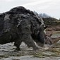 10,000-Year-Old Woolly Rhino Remains Discovered in Siberia