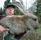 10 Things You Did not Know about Rabbits
