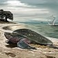 120-Million-Year-Old Sea Turtle Remains Unearthed in Colombia