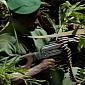 150 Rangers Now Dead for Trying to Protect the Virunga National Park