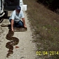 18.2-Foot-Long Burmese Python Caught in Florida, US