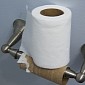 1891 Patent Solves the Eternal Debate on How to Use Toilet Paper