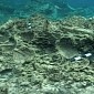 1st Century BC Underwater Pompeii in Greece Is Positively Mind-Blowing