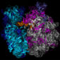 2009 Nobel Prize for Chemistry Goes to Ribosome Research