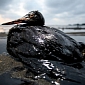 2013's Rail Oil Spills in the US Top the Previous 37 Years Combined