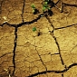 2030 to Witness Droughts, Hunger and a Weakened US