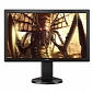 24-Inch Professional Gaming Monitor from BenQ Has 1 ms Response Time