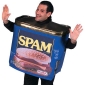 29% of Internet Users Buy from Spam