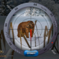3D Hunting Game for iPhone, iPod touch – Deer Hunter 3D