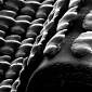 3D Printed Shark Skin Could Be the Ambrosia of Boat Motors and Propellers