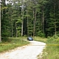 4 Shot in Tennessee Mountain Resort, Teenagers' Bodies Found in Abandoned Car