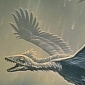 4-Winged Dinosaur Named Microraptor Used to Feed on Fish