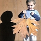 4-Year-Old Washington Boy Finds Potentially Biggest Maple Leaf in the World – Photo