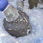 40-Pound (18 Kg) Meteorite Discovered in Antarctica