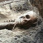 400-Year-Old Skeleton Fetches $5,000 (€3,745) Bill to People Who Found It