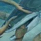 423-Million-Year-Old Remains of Predatory Fish Found in China