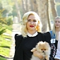 43-Year-Old Gwen Stefani Is Pregnant with Her Third Child