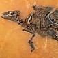 47-Million-Year-Old Horse Remains Come Complete with an Unborn Foal