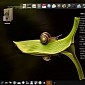 4MLinux Allinone Edition 11.0 Is a Complete OS