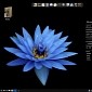 4MLinux 25.0 Distro Hits Stable with Full Zstd Support, Linux Kernel 4.14.39 LTS