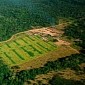 5.2M Hectares of Land Lose Protected Status in Brazil