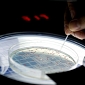 500-Million-Year-Old Bacterial Gene Resurrected