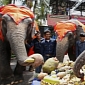 52 Elephants Get All-You-Can-Eat Buffet for Their National Day in Thailand