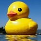 54-Foot (16.45-Meter) Duck Disappears Without a Trace in China