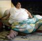 550 kg Mexican to Shed Weight in Italy