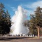 6 Reasons That Make Yellowstone Special