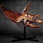 66-Million-Year-Old Dinosaur Head Could Fetch $1.8M (€1.6M) at Auction