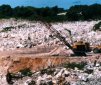 9 Issues About Contamination and Habitat Destruction