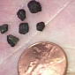 7-Year-Old Struck by Meteorite Fragments While Playing in the Driveway
