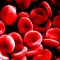 8 Issues About Blood and Circulation