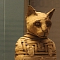 8 Million Mummified Animals Found in Ancient Egyptian Catacomb