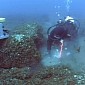 9,000-Year-Old Caribou Hunting Site Found Under Lake Huron
